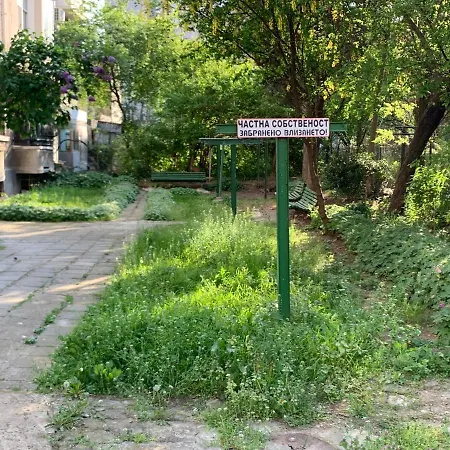 Alovet In Heart Of