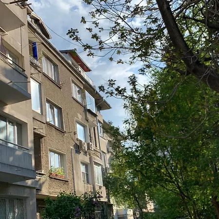 Alovet In Heart Of